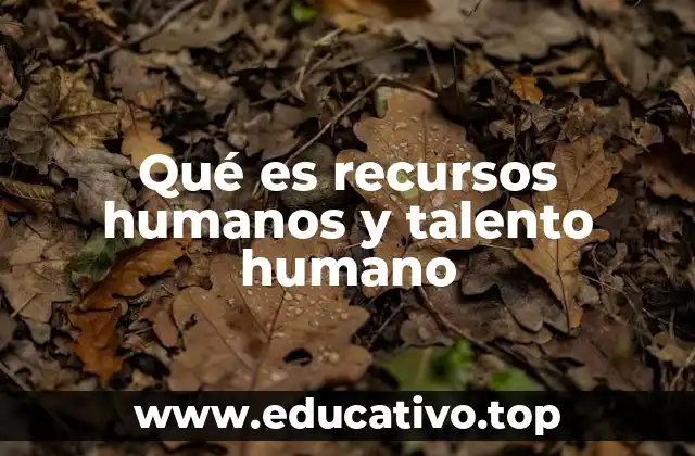 El papel del talento en la estructura empresarial