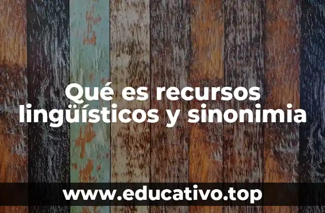 Qué es recursos lingüísticos y sinonimia