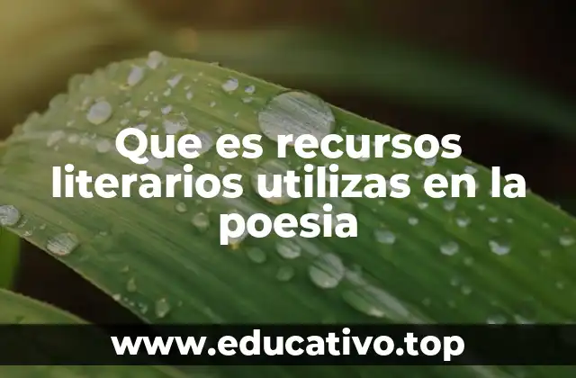 Que es recursos literarios utilizas en la poesia