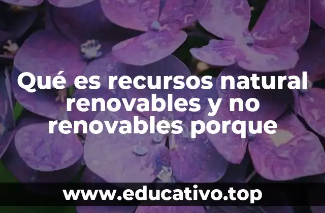 Qué es recursos natural renovables y no renovables porque