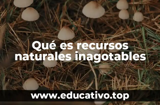 Los recursos renovables y su importancia en la sostenibilidad