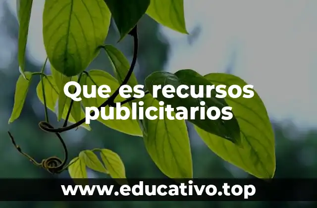 Que es recursos publicitarios