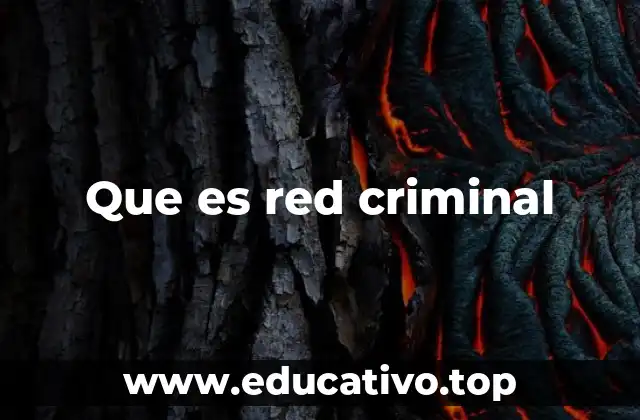 Que es red criminal