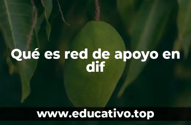 Qué es red de apoyo en dif