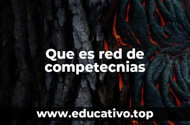 Cómo las redes de competencias transforman la gestión del talento