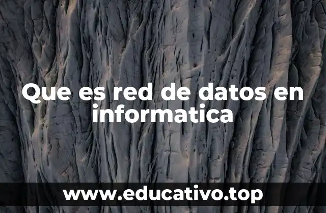Que es red de datos en informatica