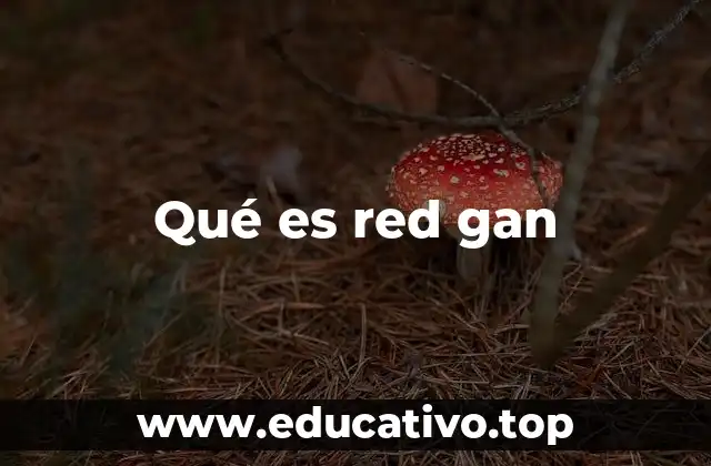 Qué es red gan