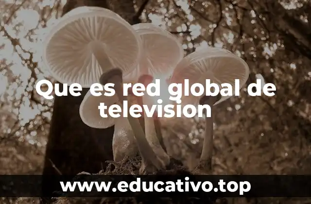Que es red global de television