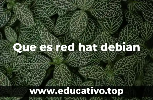 Que es red hat debian