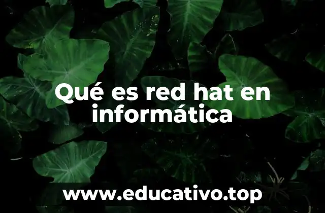 Qué es red hat en informática