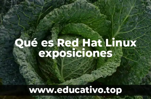 Qué es Red Hat Linux exposiciones