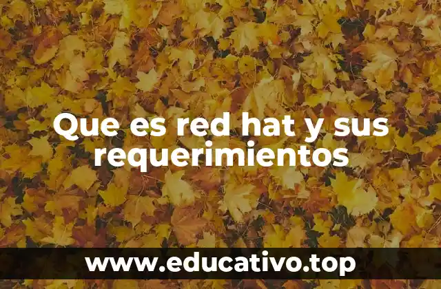 Que es red hat y sus requerimientos