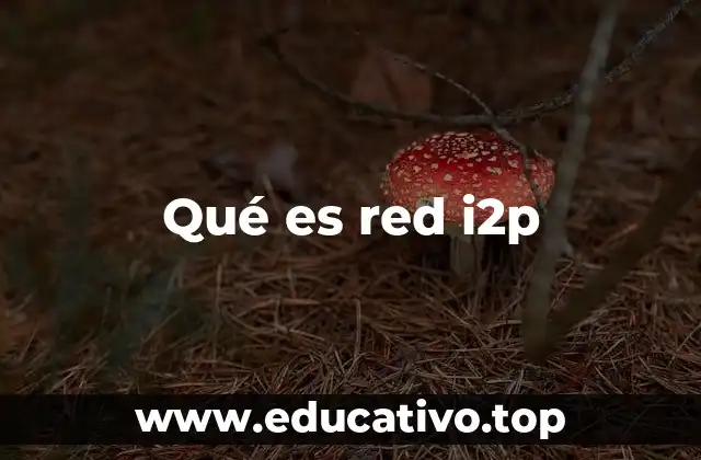 Qué es red i2p