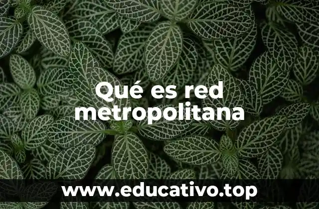 Qué es red metropolitana