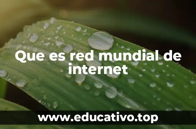 Que es red mundial de internet