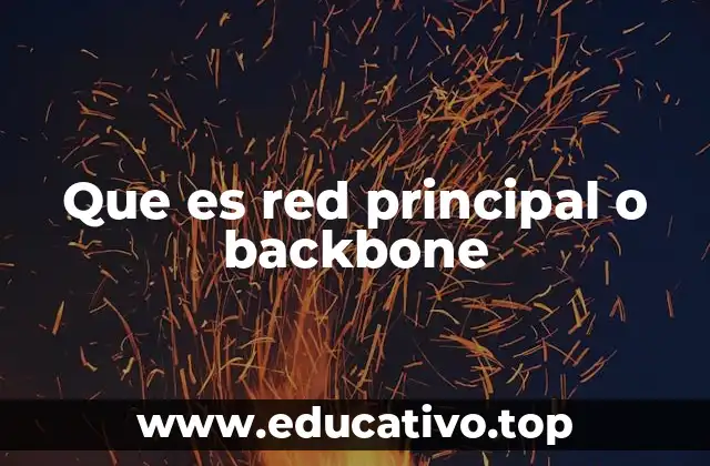 Que es red principal o backbone