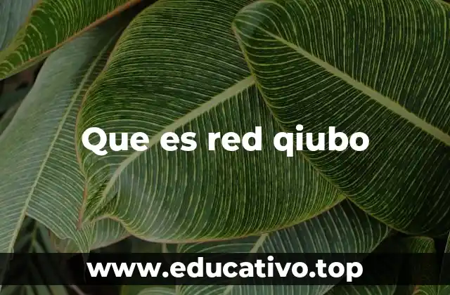 Que es red qiubo