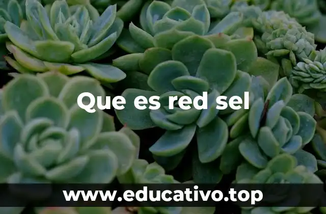 Que es red sel