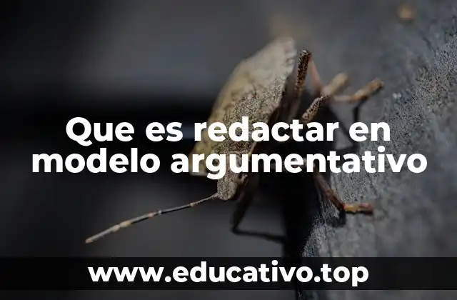 Que es redactar en modelo argumentativo