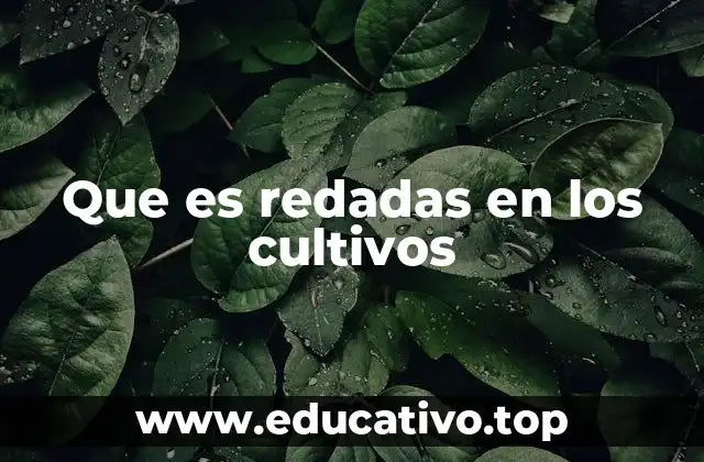 Que es redadas en los cultivos