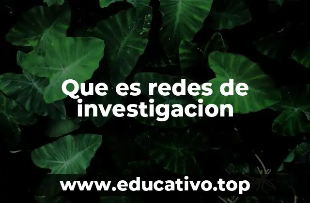 Que es redes de investigacion