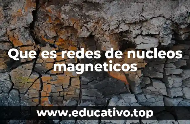 Que es redes de nucleos magneticos