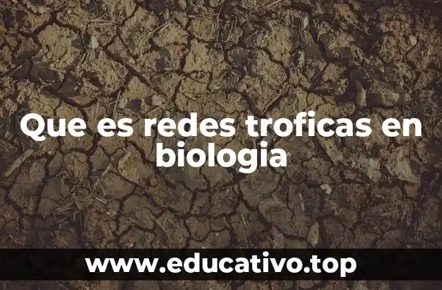 Que es redes troficas en biologia