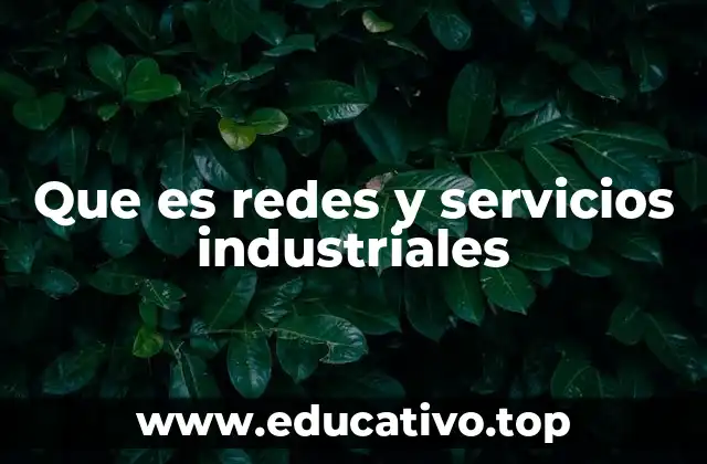 Que es redes y servicios industriales