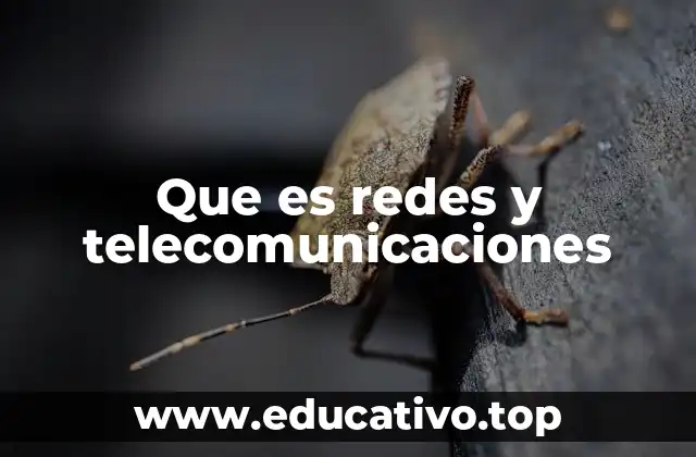 Que es redes y telecomunicaciones