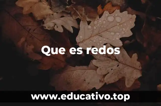 Que es redos