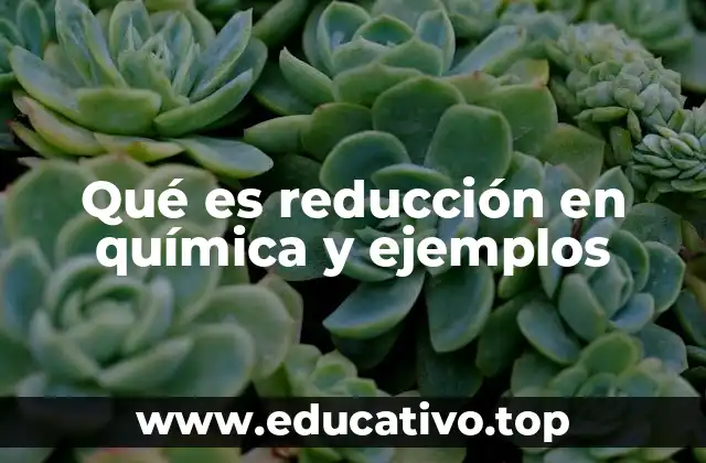 Qué es reducción en química y ejemplos