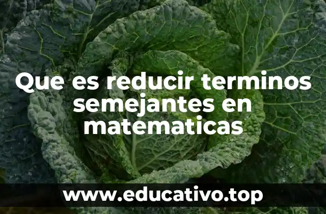 Que es reducir terminos semejantes en matematicas