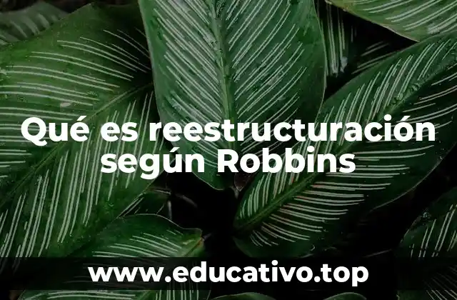 Qué es reestructuración según Robbins