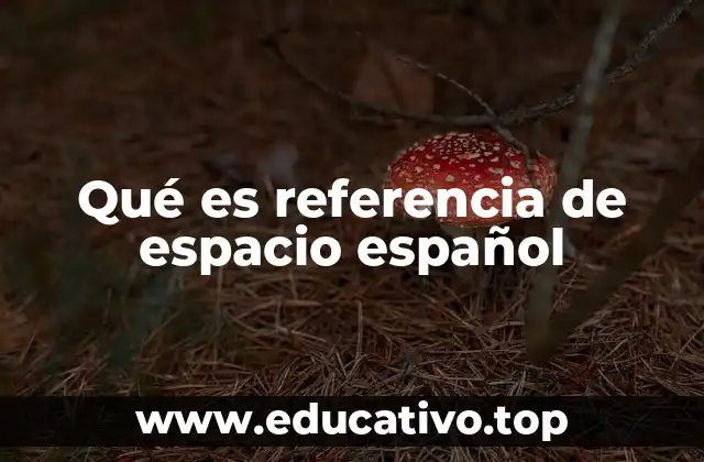 Qué es referencia de espacio español