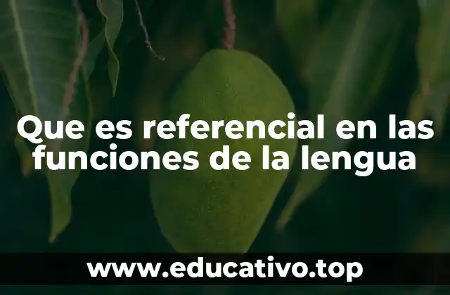 Que es referencial en las funciones de la lengua
