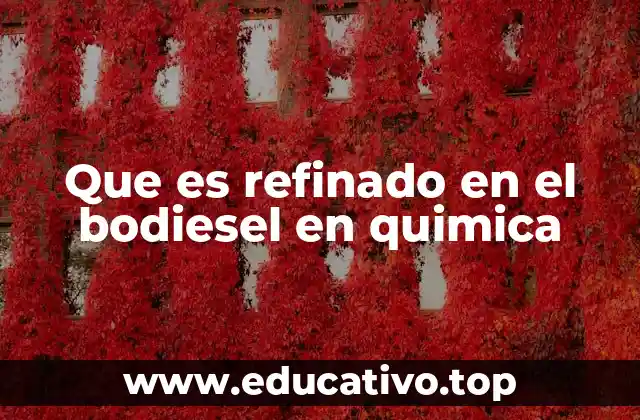 Que es refinado en el bodiesel en quimica