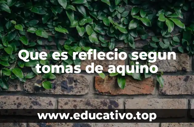 Que es reflecio segun tomas de aquino