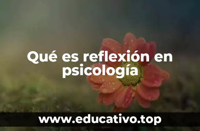 Qué es reflexión en psicología