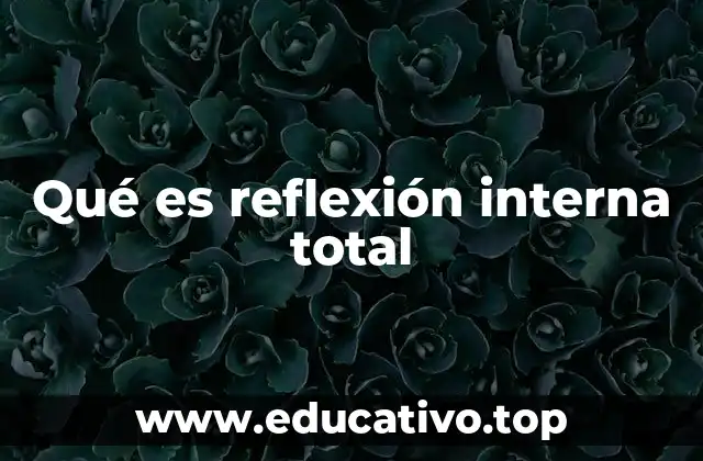 Qué es reflexión interna total