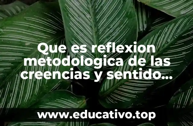 Que es reflexion metodologica de las creencias y sentido comun