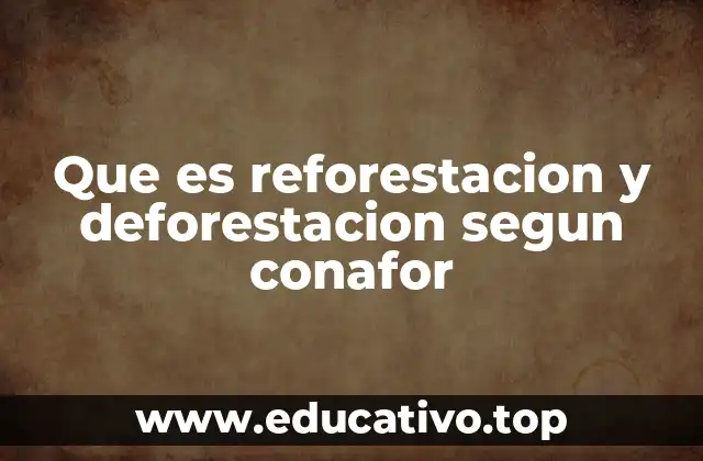 Que es reforestacion y deforestacion segun conafor