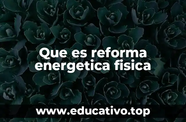 Que es reforma energetica fisica