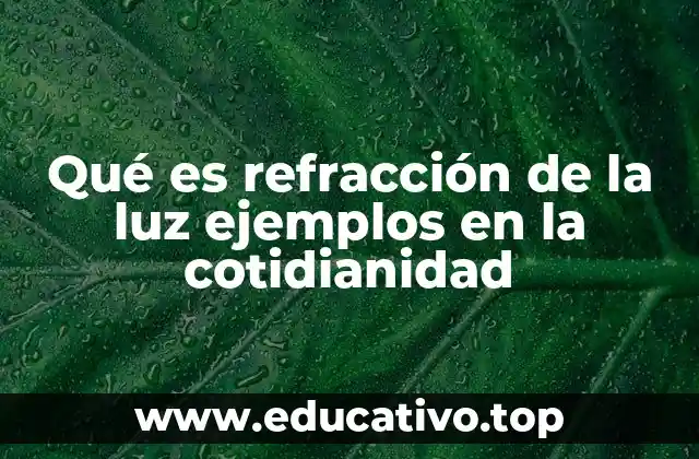 Cómo la refracción afecta nuestra percepción del mundo