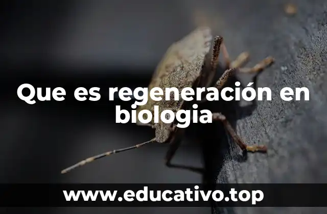 Que es regeneración en biologia