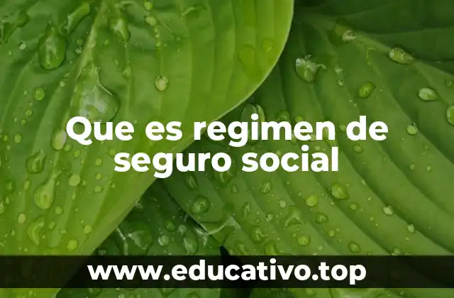 Que es regimen de seguro social