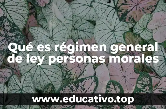Qué es régimen general de ley personas morales