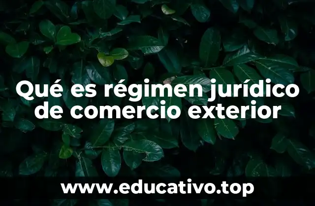 Qué es régimen jurídico de comercio exterior