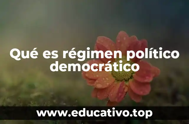 Qué es régimen político democrático
