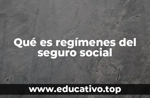 Qué es regímenes del seguro social