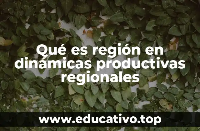 Qué es región en dinámicas productivas regionales
